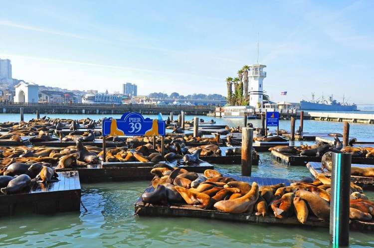 Pier 39